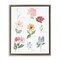 Stupell Industries Labeled Flower Varieties Floating Frame, design by Lucille Price